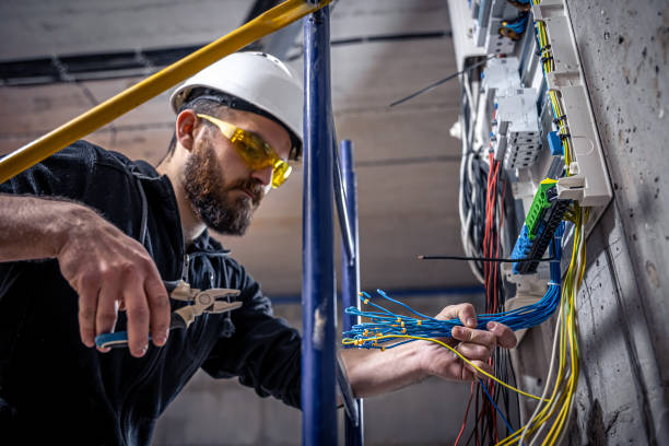 Best Local Electrician Companies  in Lake Crystal, MN